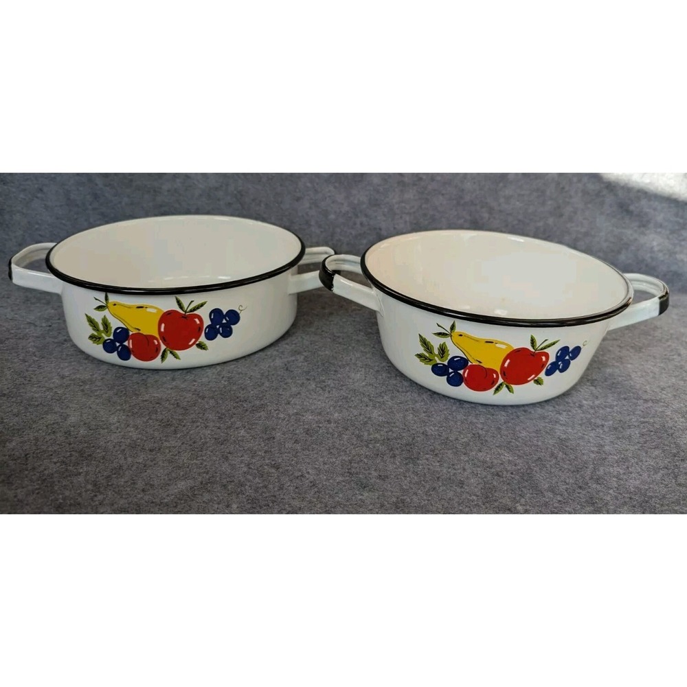 Set Of 2  Monterrey Modern Ware Mexico Floral Enamel Pans